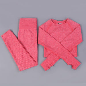 Women 2pcs Seamless Yoga Set Sport Suit Gymwear Workout Clothes Long Sleeve Gym Crop Top High Waist Leggings Fitness Sports Wear - A Woman Knows Best
