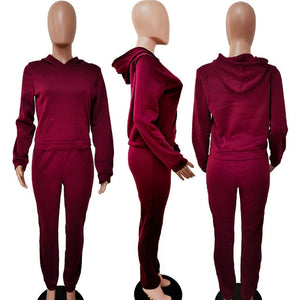 hirigin Sporty 2 Piece Set Hoodies and Sweatpants Fall Winter Clothes Women Two Piece Outfits Casual Tracksuits Sweatsuits - A Woman Knows Best